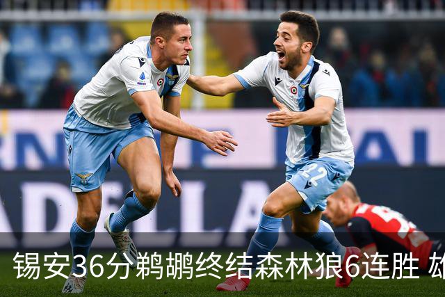 锡安36分鹈鹕终结森林狼6连胜 雄鹿险胜公牛