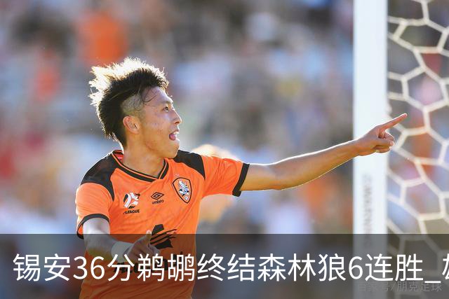 锡安36分鹈鹕终结森林狼6连胜 雄鹿险胜公牛
