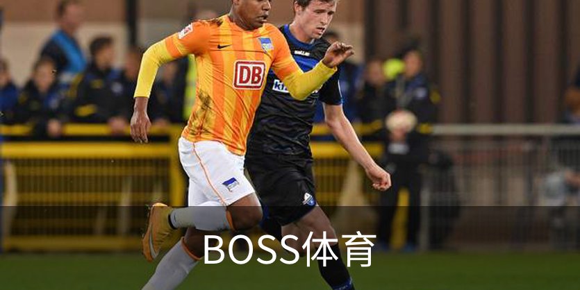 了解BOSS体育